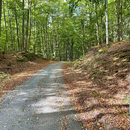 Osrodek Wypoczynkowy Zakatek, W Lesie, Nowy * Katy Rybackie