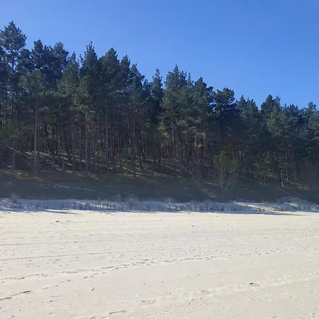 Domek letniskowy Zakątek, W Lesie, Nowy *