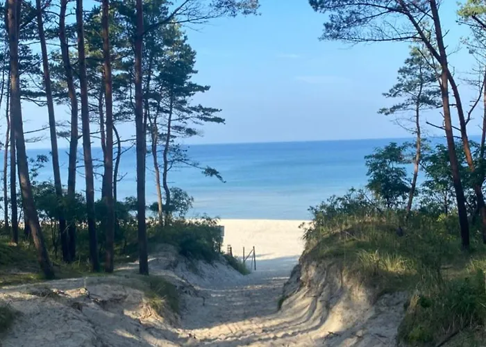 Osrodek Wypoczynkowy Zakatek, W Lesie, Nowy 山林小屋 Kąty Rybackie