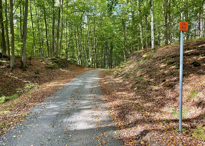 Osrodek Wypoczynkowy Zakatek, W Lesie, Nowy * Kąty Rybackie