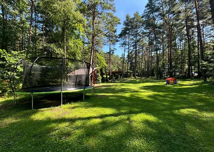 Osrodek Wypoczynkowy Zakatek, W Lesie, Nowy 山林小屋