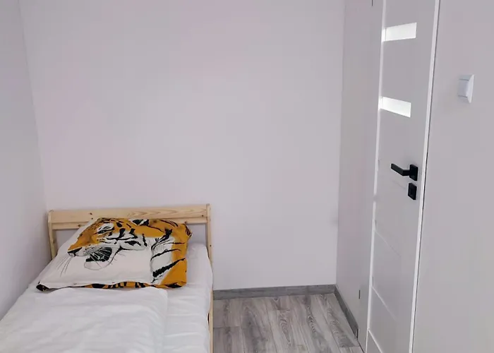 Osrodek Wypoczynkowy Zakatek, W Lesie, Nowy * Kąty Rybackie