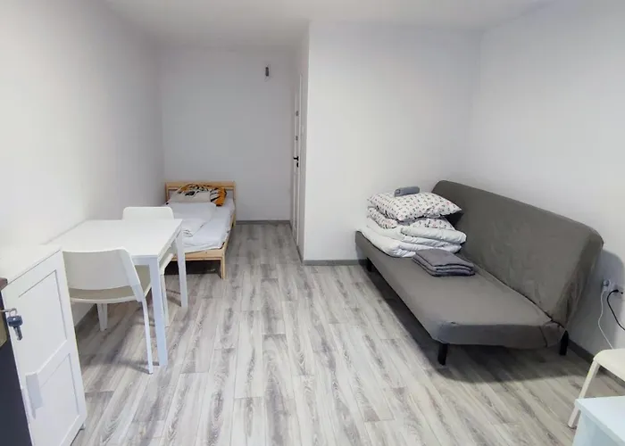 Osrodek Wypoczynkowy Zakatek, W Lesie, Nowy