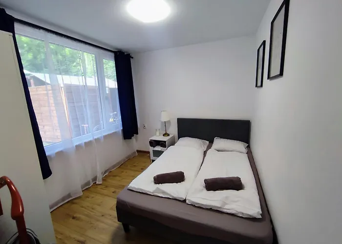 Osrodek Wypoczynkowy Zakatek, W Lesie, Nowy 山林小屋 *