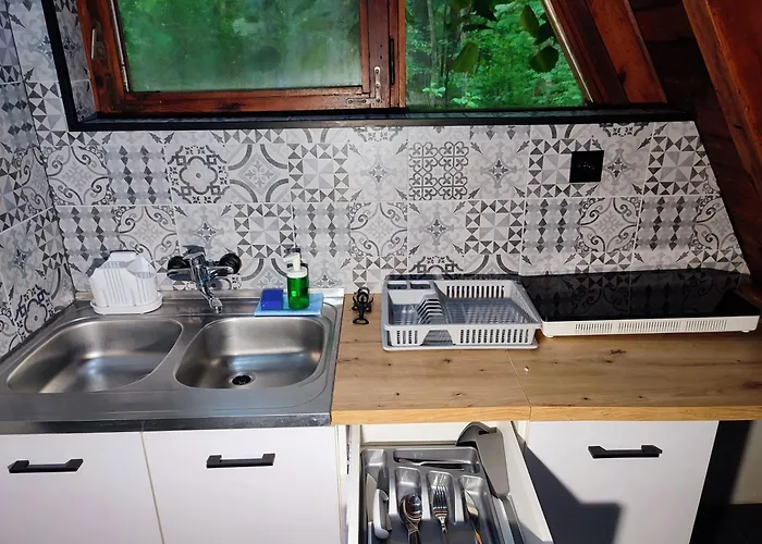 Osrodek Wypoczynkowy Zakatek, W Lesie, Nowy 山林小屋