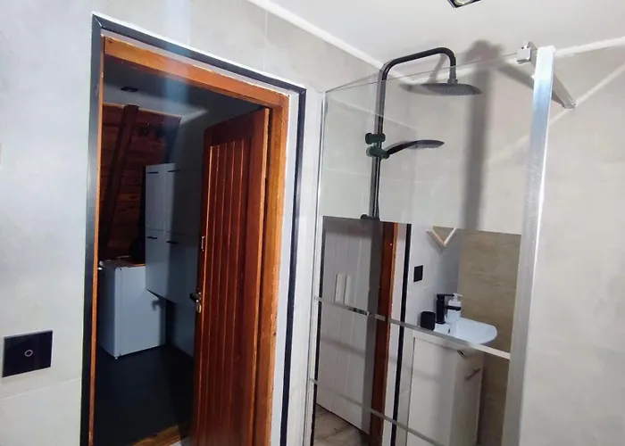 Osrodek Wypoczynkowy Zakatek, W Lesie, Nowy 山林小屋 *