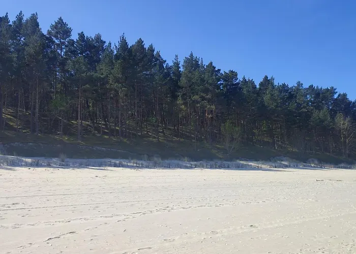 山林小屋 Osrodek Wypoczynkowy Zakatek, W Lesie, Nowy *