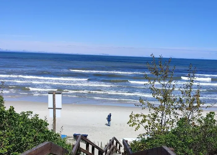 Osrodek Wypoczynkowy Zakatek, W Lesie, Nowy Kąty Rybackie