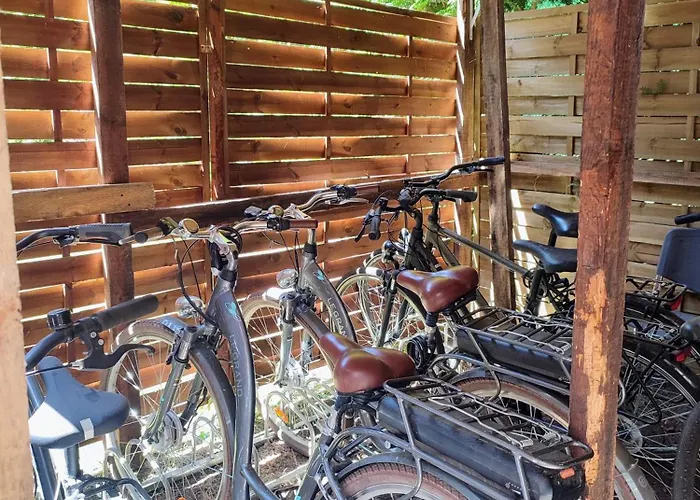 Osrodek Wypoczynkowy Zakatek, W Lesie, Nowy 山林小屋