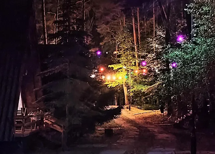 Osrodek Wypoczynkowy Zakatek, W Lesie, Nowy Kąty Rybackie